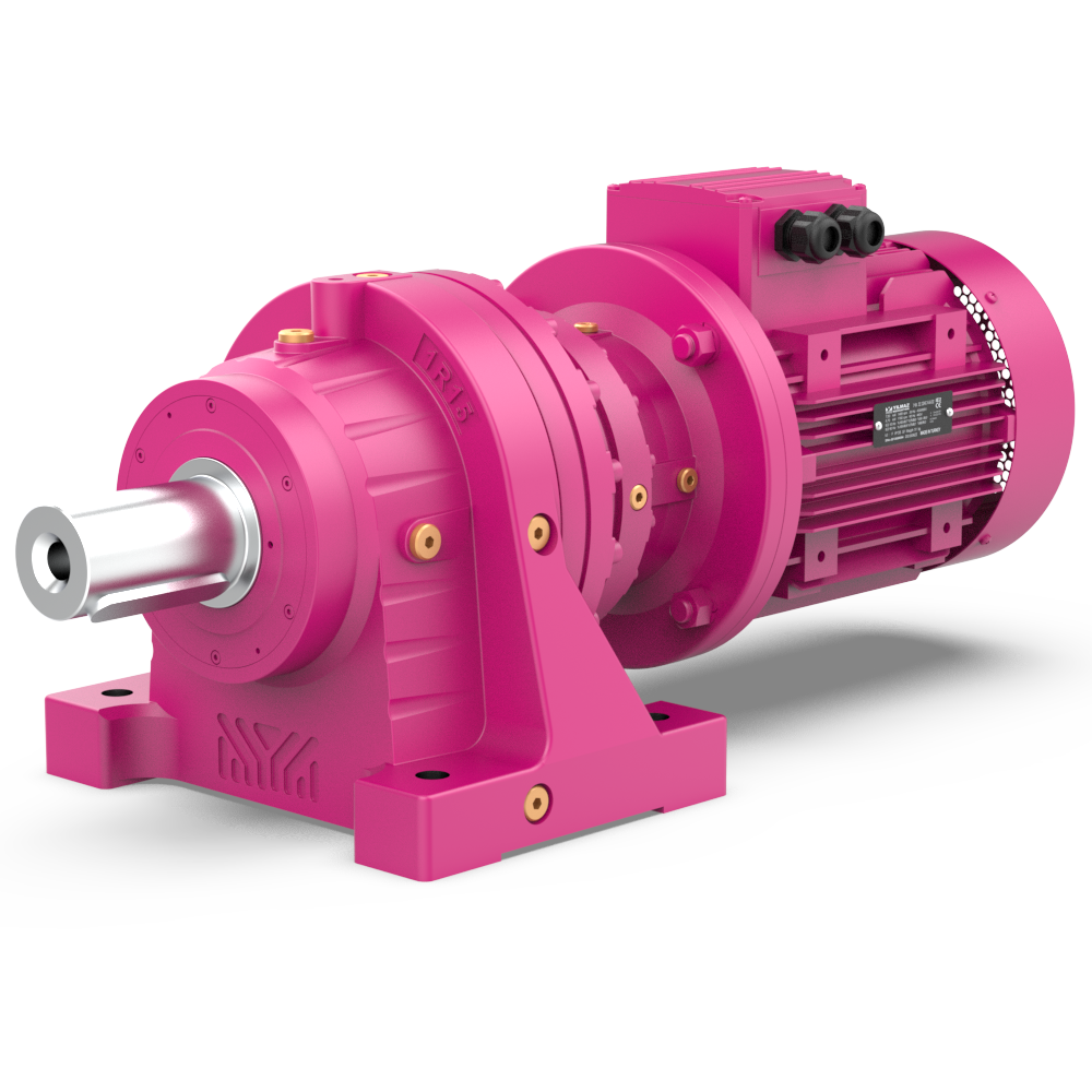 R.L Serisi Planet Dişli Ayak Bağlantılı Redüktörler