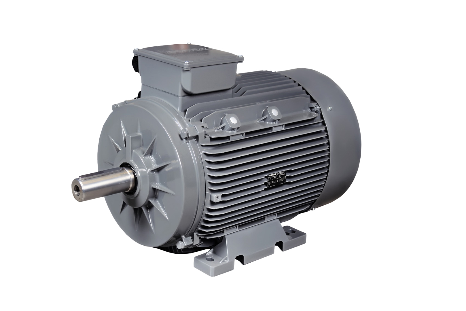 15 kW 1500 Devir Elektrik Motoru B3 IE3