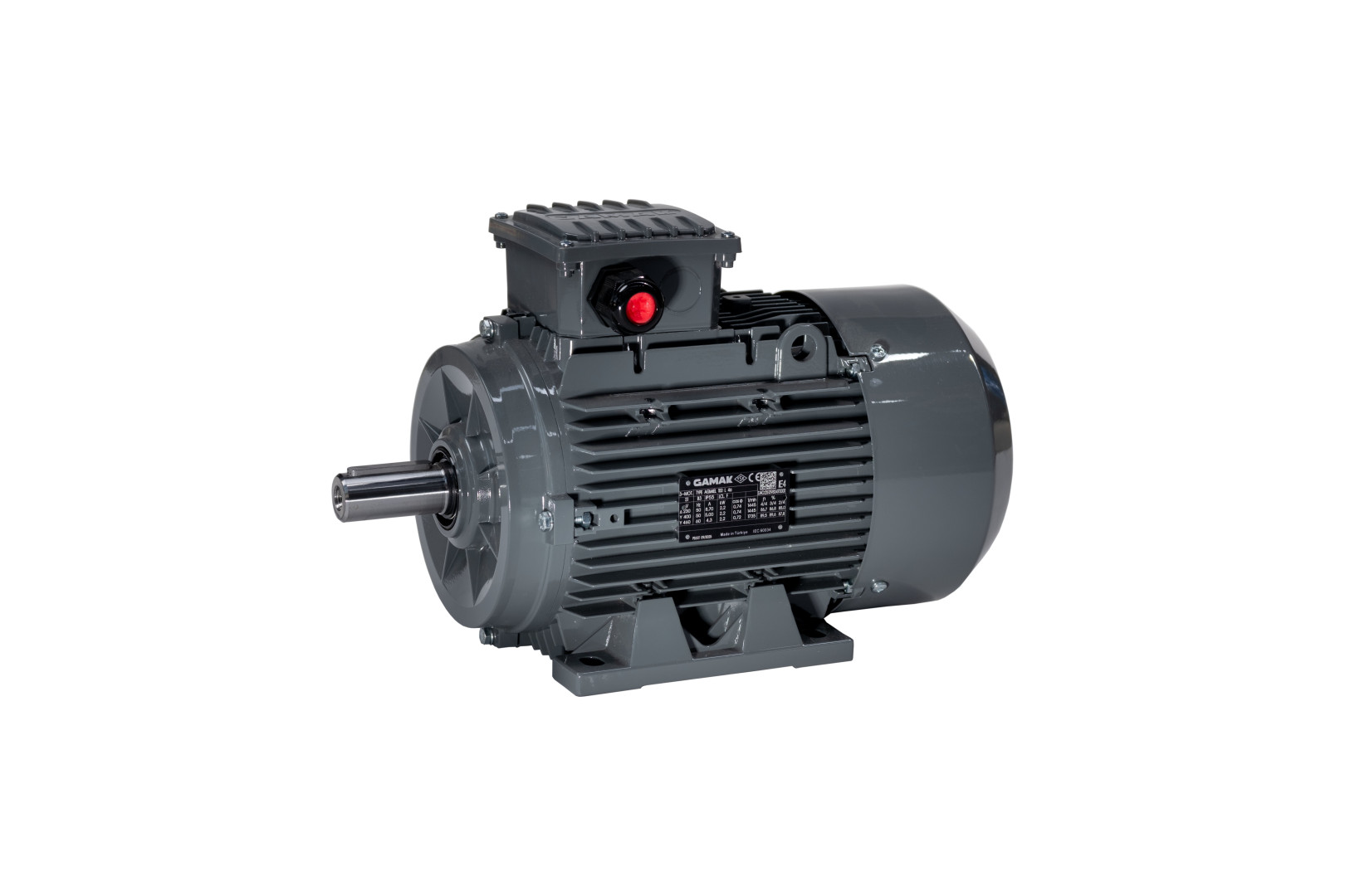 2,2 kW 1500 Devir Elektrik Motoru B3 IE3