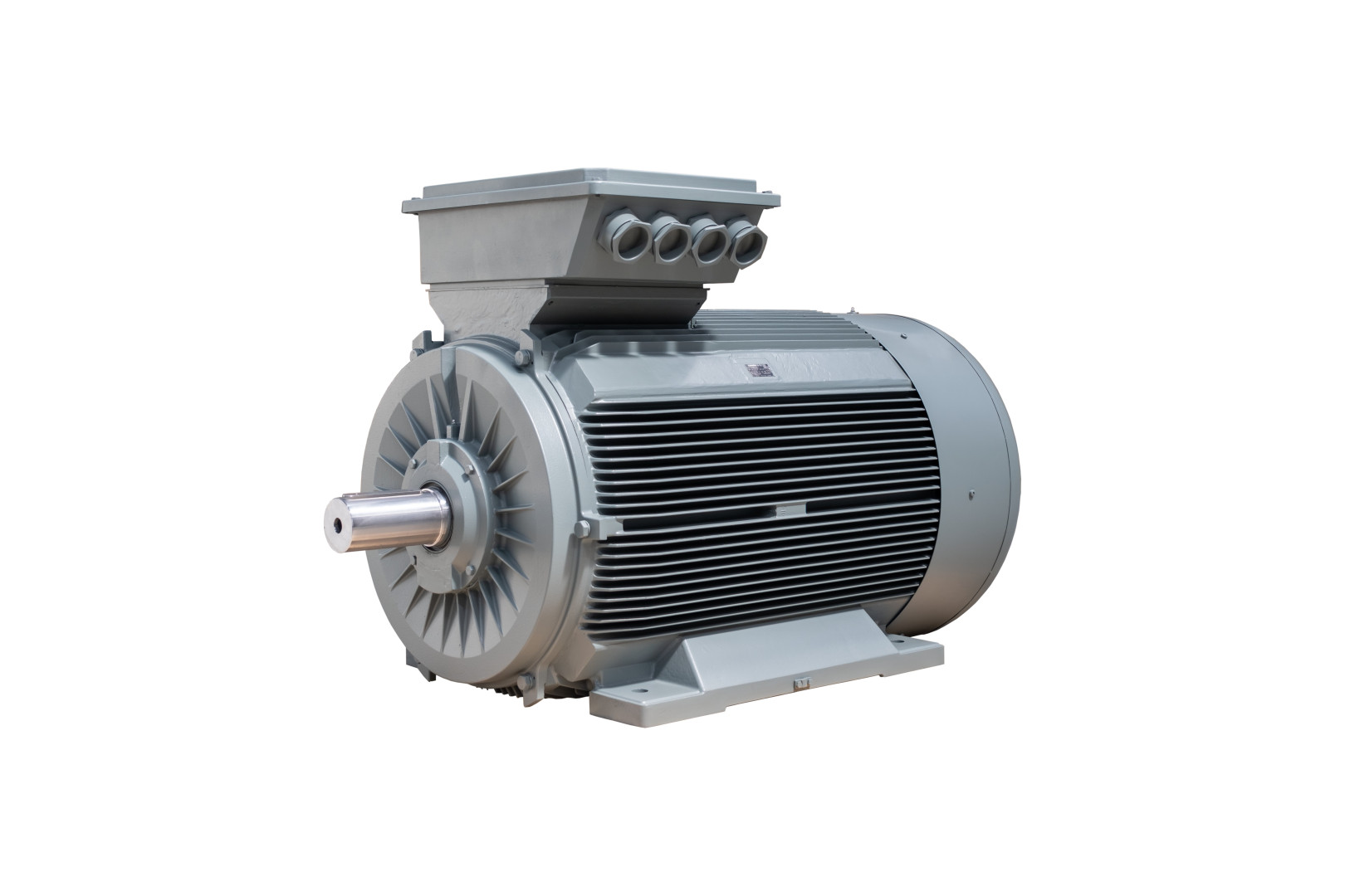 250 kW 1500 Devir Elektrik Motoru B3 IE3