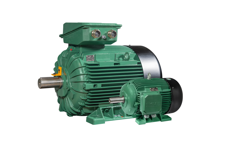 EMTAŞ 250 KW 1500 Devir 355 Gövde Taş Kırma Motorları Ø100 mm